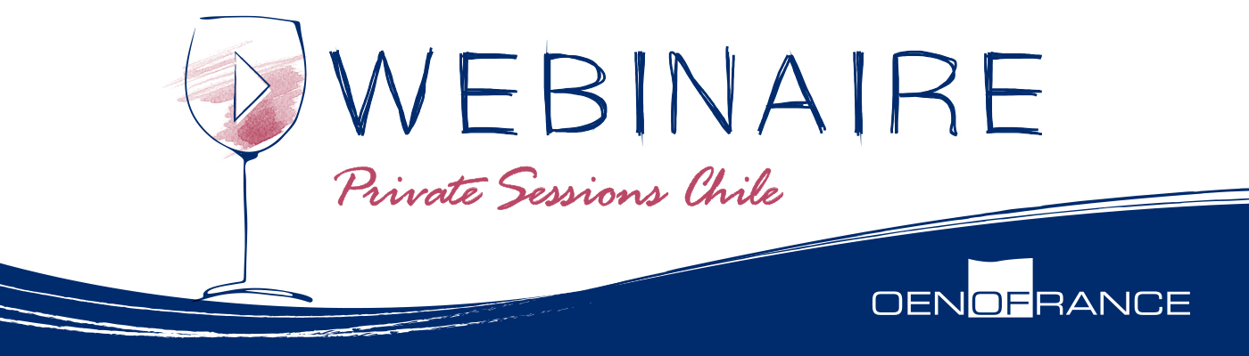 Webinar Private Sessions Chile